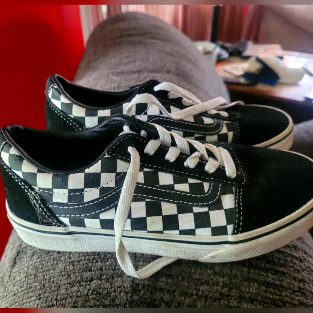 Van's Skater Shoes